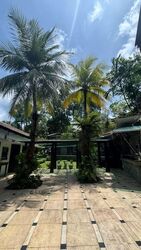 Wilby Road (D10), Detached #567987941